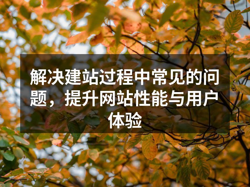 解决建站过程中常见的问题，提升网站性能与用户体验