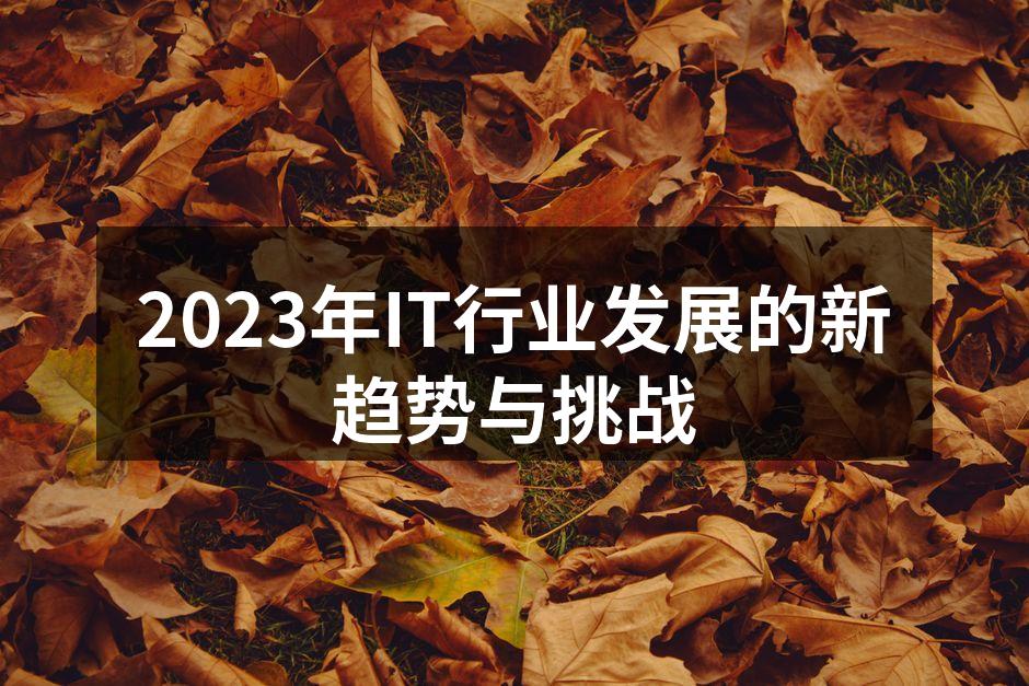 2023年IT行业发展的新趋势与挑战